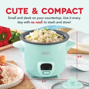 NEW Turquoise Mini Rice Cooker Steamer Removable Nonstick Pot Keep Warm Function
